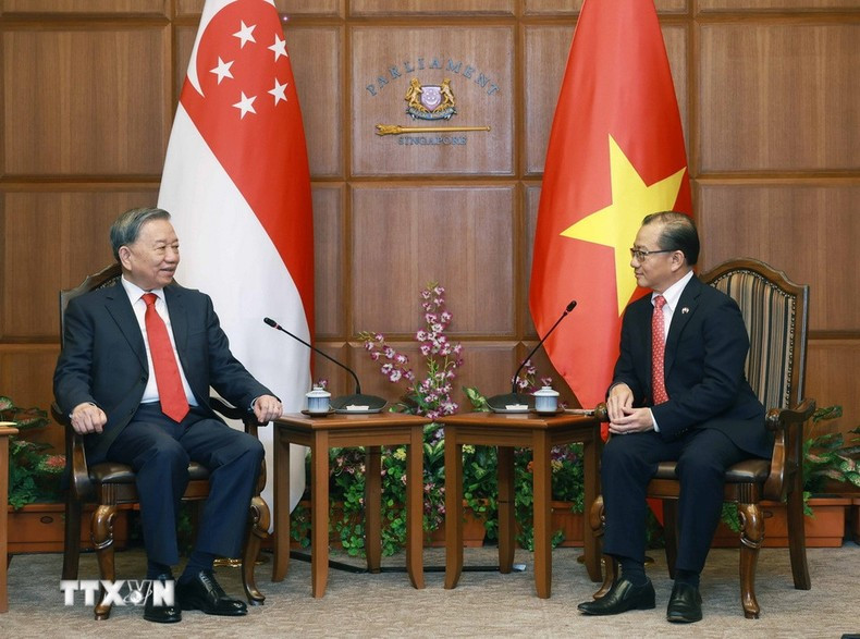 El secretario general del PCV, To Lam, se reúne con el presidente del Parlamento de Singapur, Seah Kian Peng. (Foto: VNA)