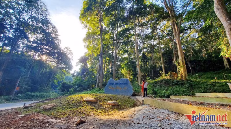 El antiquísimo bosque conserva su encanto natural.
