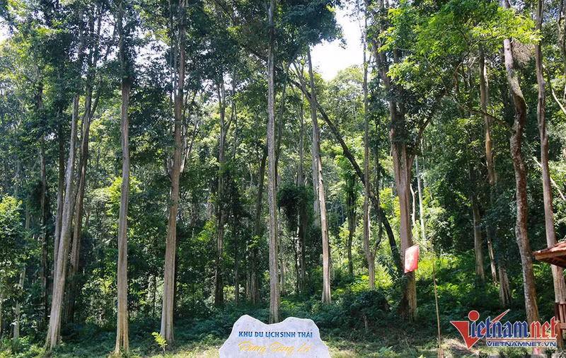 Un lugar para descansar en el recorrido de exploración de la región oeste de Nghe An.
