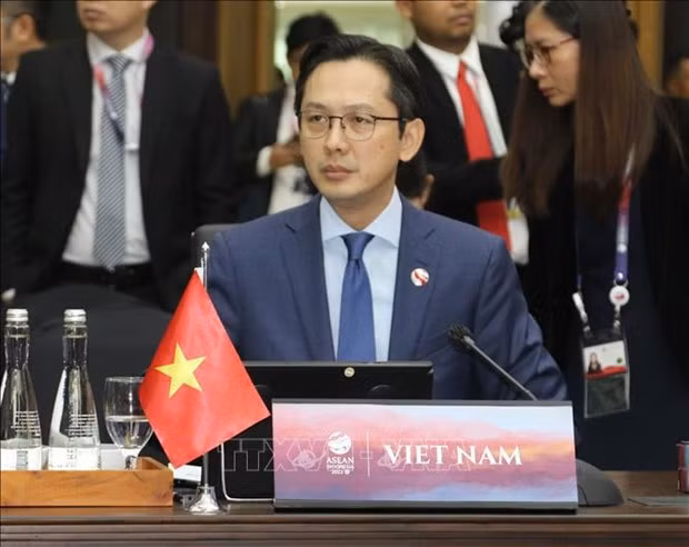 El viceministro de Relaciones Exteriores de Vietnam Do Hung Viet. (Foto: VNA)