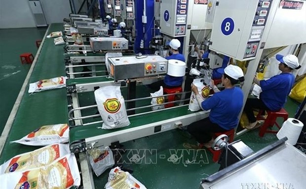 Vietnam abastecerá este año al mercado mundial con más de 7,5 millones de toneladas de arroz. (Foto: VNA)