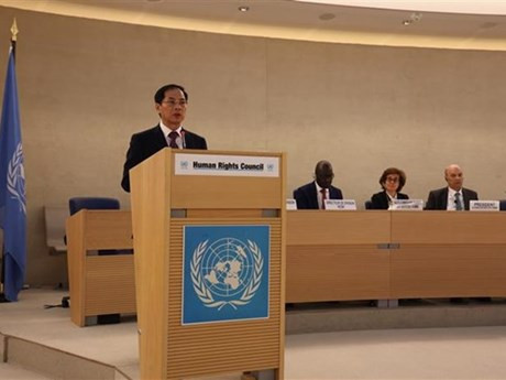El ministro de Asuntos Exteriores, Bui Thanh Son, habla en la reunión. (Foto: VNA)