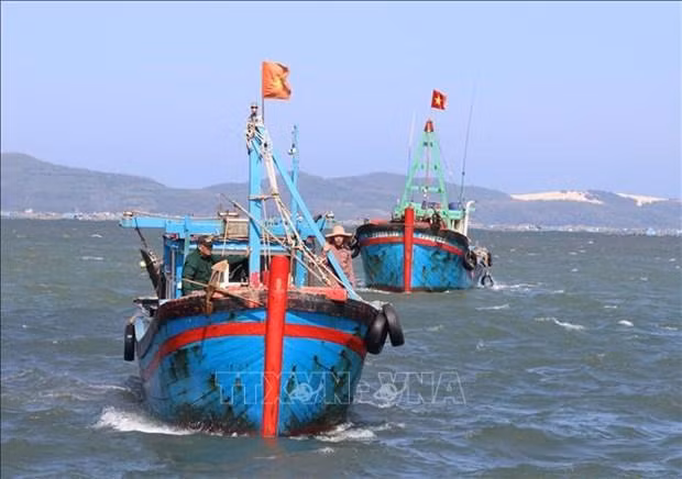 Foto de ilustración. (Fotografía: VNA)