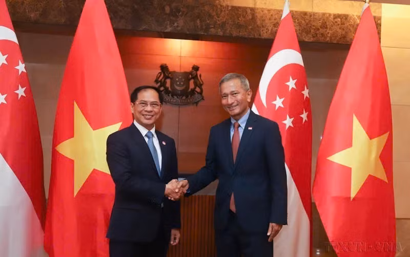 El ministro de Relaciones Exteriores, Bui Thanh Son, se reúne con su homólogo singapurense, Vivian Balakrishnan, en el país insular el 18 de julio de 2023. (Foto: VNA)