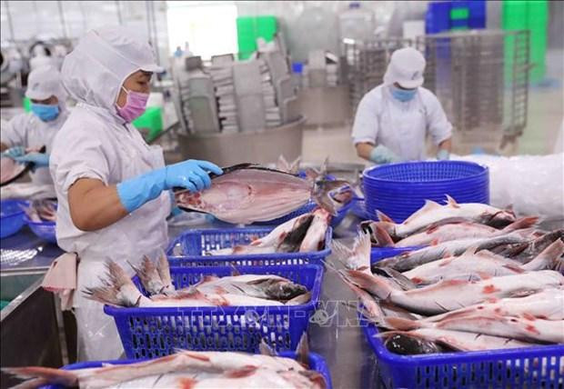 Una fábrica de procesamiento de productos acuícolas. (Fotografía: VNA)