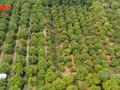 [Vídeo] Vietnam impulsa el turismo verde y circular