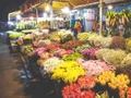 [Vídeo] Mercado de flores en Hanói se llena de ambiente antes del Tet