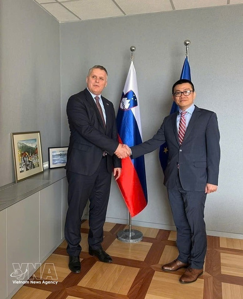 El embajador de Vietnam en Austria y Eslovenia, Vu Le Thai Hoang (derecha), y el ministro de Medio Ambiente, Clima y Energía de Eslovenia, Bojan Kumer, en su reunión del 2 de marzo. (Foto: VNA)