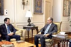 El ministro de Asuntos Exteriores de Egipto, Badr Abdelatty, recibe al viceministro de Relaciones Exteriores de Vietnam, Le Anh Tuan. (Foto: VNA)