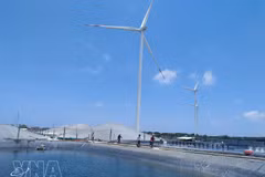 Modelo de desarrollo de la acuicultura de camarones de alta tecnología y la energía eólica en la comuna de Thanh Hai, provincia de Vinh Long. (Foto: VNA)