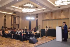 El consejero comercial de Vietnam en la India, Bui Trung Thuong, interviene en la cita. (Foto: VNA)
