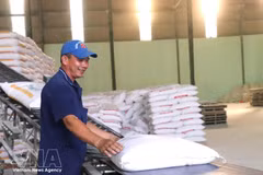 Actividades de producción en la empresa Tan Dong Tien en la provincia de Tay Ninh. (Foto: VNA)