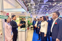 Los delegados visitan un stand de la feria. (Foto: VNA)