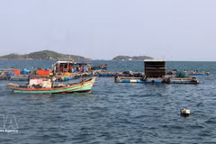Zona del puerto pesquero de An Thoi. (Foto: VNA)