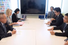 El viceprimer ministro de Vietnam Nguyen Van Thang se reúne con el secretario general adjunto de Asuntos Económicos y Sociales de las Naciones Unidas (ONU), Li Junhua. (Foto: VNA)