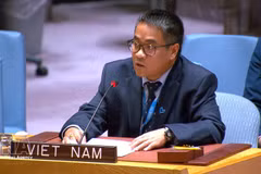 El ministro consejero Nguyen Hai Luu, representante permanente adjunto de Vietnam ante la ONU. (Foto: Archivo de VNA)
