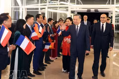 Personal de la Embajada y comunidad vietnamita en Francia reciben al secretario general y presidente To Lam y su esposa. (Foto: VNA)