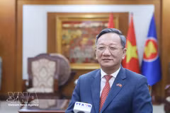 El embajador de Vietnam en Laos, Nguyen Minh Tam, en la entrevista. (Foto: VNA)