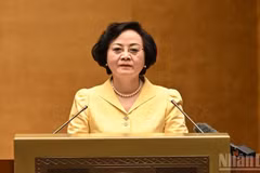 La viceprimera ministra Pham Thi Thanh Tra. (Foto: Nhan Dan)