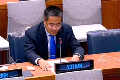 El ministro consejero Nguyen Hai Luu. (Foto: Delegación permanente de Vietnam ante las Naciones Unidas)