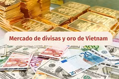 Infografía: Mercado de divisas y oro de Vietnam - 22 de agosto de 2026
