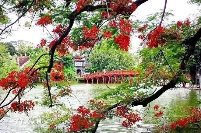 Un rincón del lago Hoan Kiem, en Hanói. (Fotografía: VNA)