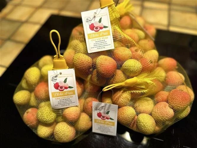 Los primeros lichis frescos de la cosecha 2025 procedentes de Vietnam han llegado a los supermercados franceses. (Fotografía: VNA)