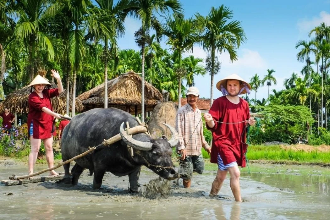 Quang Nam estimula el turismo verde con diversas actividades en junio. (Fotografía: congly.vn)