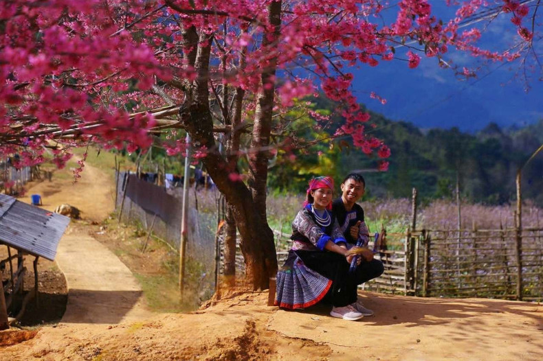 El guía local Giang A Sua y su esposa muestran a turistas la belleza de las flores “to day”.