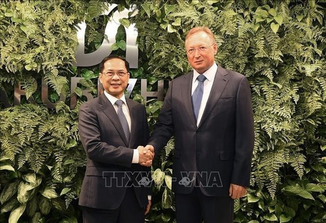 El viceprimer ministro Bui Thanh Son recibe al director general de la empresa rusa Zarubezhneft, Sergei Kudryashov. (Foto: VNA)