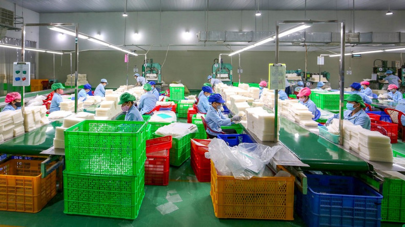 El papel de arroz de Tan Nhien cuenta con la certificación Halal JAKIM, cumpliendo estrictamente con las normas de la Sharia en cuanto a materias primas, procesos de producción y control de calidad. El papel de arroz de Tan Nhien cuenta con la certificación Halal JAKIM, cumpliendo estrictamente con las normas de la Sharia en cuanto a materias primas, procesos de producción y control de calidad.