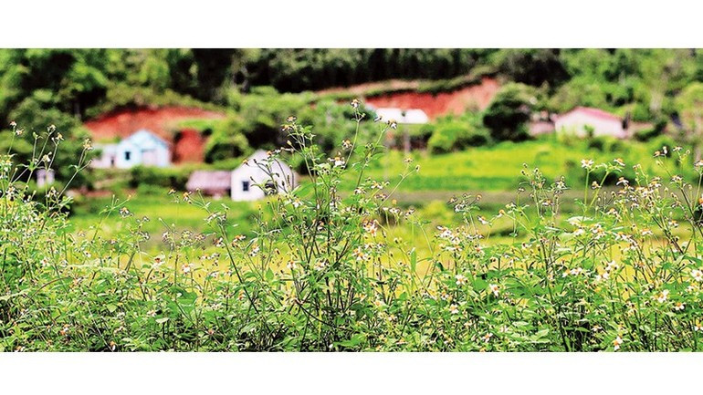 Casas en la aldea de Pac Phai, principalmente habitadas por las etnias Tay, Nung, Yao y Kinh. La población local espera que su pueblecito se convierta en una atracción turística. Casas en la aldea de Pac Phai, principalmente habitadas por las etnias Tay, Nung, Yao y Kinh. La población local espera que su pueblecito se convierta en una atracción turística.