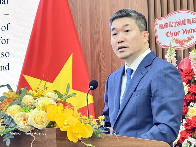 El presidente de la Unión de Organizaciones de Amistad de Vietnam, Phan Anh Son. (Foto: VNA)