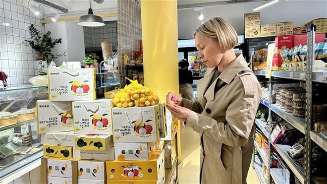 Una cliente francesa prueba el lichi vietnamita. (Fotografía: VNA) Una cliente francesa prueba el lichi vietnamita. (Fotografía: VNA)