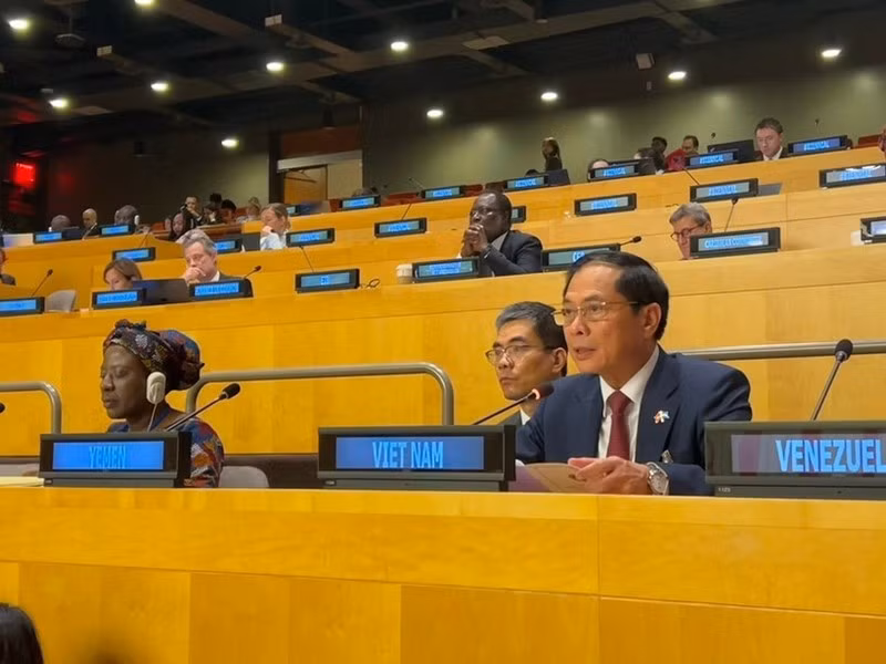 El viceprimer ministro vietnamita Bui Thanh Son interviene en la cita (Foto: VNA) 