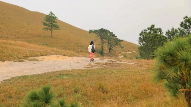 Paseo por los poéticos prados de Quang Ninh en otoño e invierno
