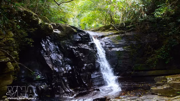 Las pequeñas cascadas y arroyos de Ngu Ho, enclavados entre las montañas y los bosques, crean un paisaje que combina delicadeza y fuerza. (Foto: VNA)