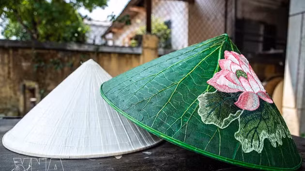 Hue es conocida desde hace mucho tiempo por su oficio tradicional de fabricación de sombreros cónicos. Además del sombrero cónico tradicional, la aparición del sombrero hecho con hojas de loto ha aportado una nueva inspiración, contribuyendo a enriquecer la imagen de este oficio artesanal. (Foto: VNA)