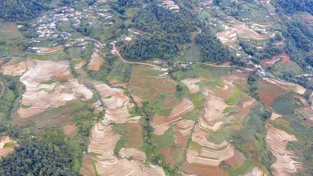 Cada año, a finales de mayo, cuando comienzan las lluvias de verano, la zona paisajística de Mu Cang Chai se reviste de la belleza resplandeciente de la temporada de riego. Sobre las laderas montañosas, los arrozales en terrazas se extienden suavemente como cintas ondulantes, formando un paisaje único de esta región montañosa. (Foto: tienphong.vn)