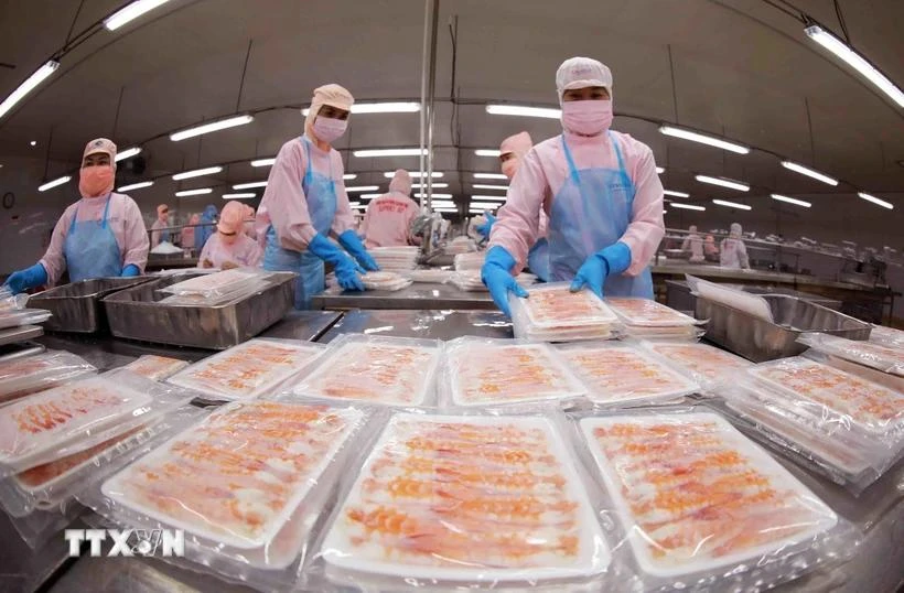 Procesamiento de mariscos para exportación. (Foto: VNA)