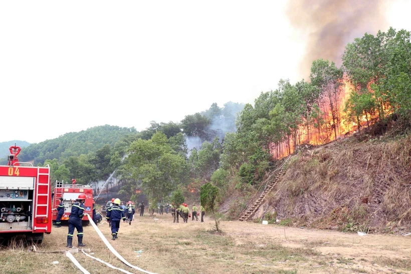 Simulacro nacional de prevención y extinción de incendios forestales el 6 de diciembre de 2024 en la ciudad de Thai Nguyen. (Foto: VNA)