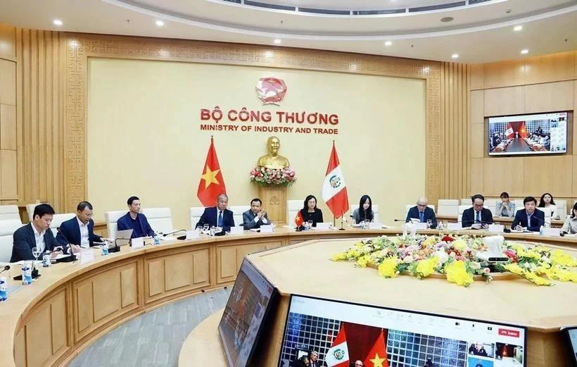 La viceministra de Industria y Comercio vietnamita, Phan Thi Thang, y el viceministro de Relaciones Exteriores de Perú, Félix Denegri Boza, co-presidieron la tercera sesión plenaria del Comité Intergubernamental bilateral. (Foto: VNA)