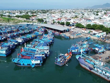 Vietnam trabaja por lograr pesca sostenible