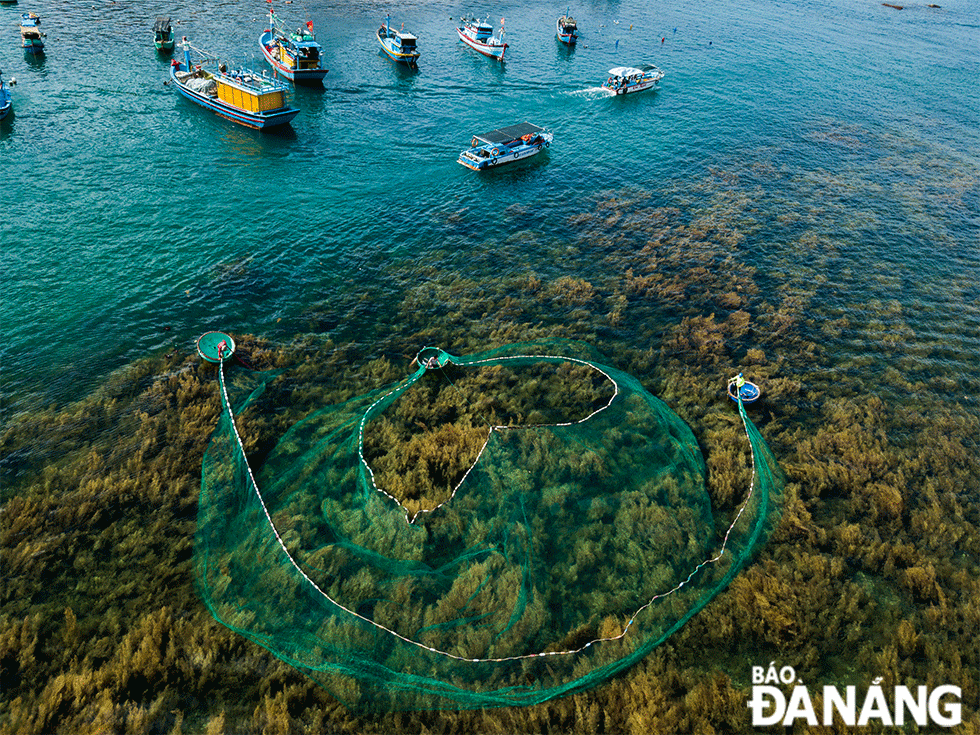 La vista de los pescadores locales trabajando en los campos de algas Sargassaceae agrega un toque suave y lírico al paisaje. La vista de los pescadores locales trabajando en los campos de algas Sargassaceae agrega un toque suave y lírico al paisaje.