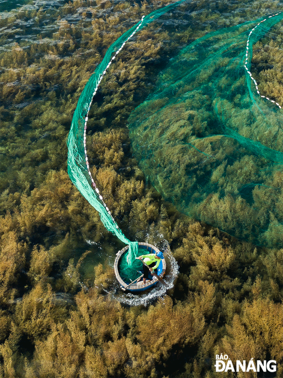La pesca en Hon Kho es más activa durante la temporada de los sargazos, cuando abundan los calamares, los peces y las gambas. La pesca en Hon Kho es más activa durante la temporada de los sargazos, cuando abundan los calamares, los peces y las gambas.