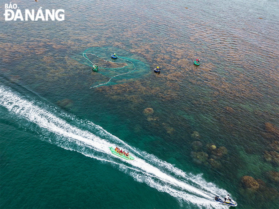 Famosa por sus arrecifes de coral cerca de la costa y sus hermosas alfombras de algas marinas, Hon Kho fascina a turistas y fotógrafos. Famosa por sus arrecifes de coral cerca de la costa y sus hermosas alfombras de algas marinas, Hon Kho fascina a turistas y fotógrafos.