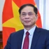 El vicepremier y ministro de Relaciones Exteriores de Vietnam, Bui Thanh Son. (Foto: VNA)