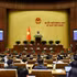 Durante una reunión en el primer período de sesiones de la Asamblea Nacional de la XVI Legislatura. (Foto: VNA)