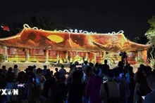 Hai Phong lanza tour nocturno con espectáculo de mapping 3D. (Fuente: VNA)