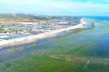 El distrito de Thuan Nam, provincia de Ninh Thuan, fue elegido como sede para la construcción de la central nuclear Ninh Thuan 1. (Foto: VNA)
